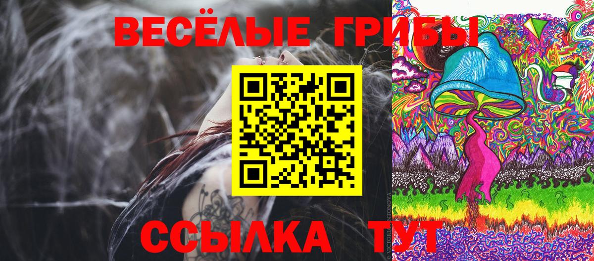 Галлюциногенные грибы Cubensis Астрахань